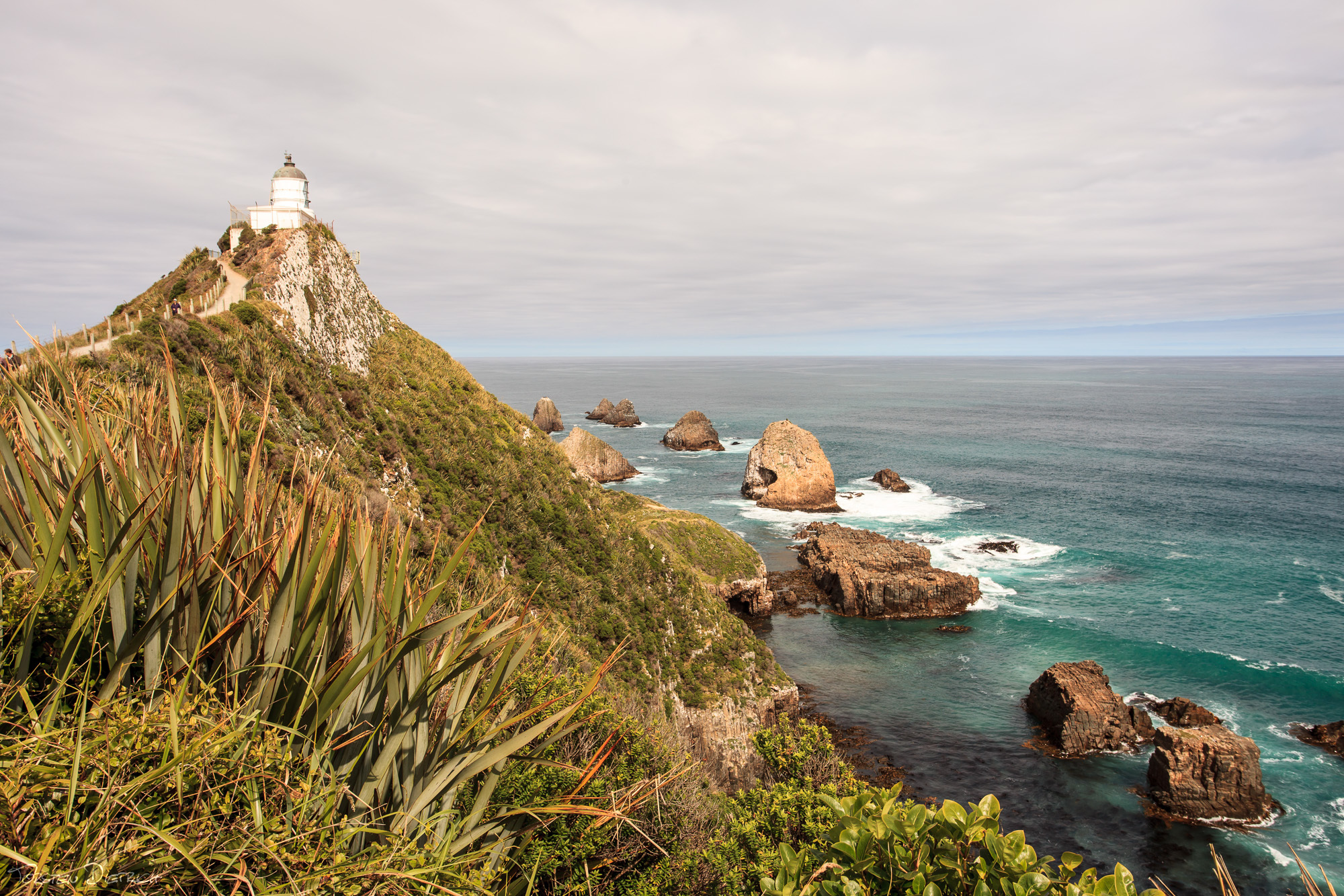 Nugget Point