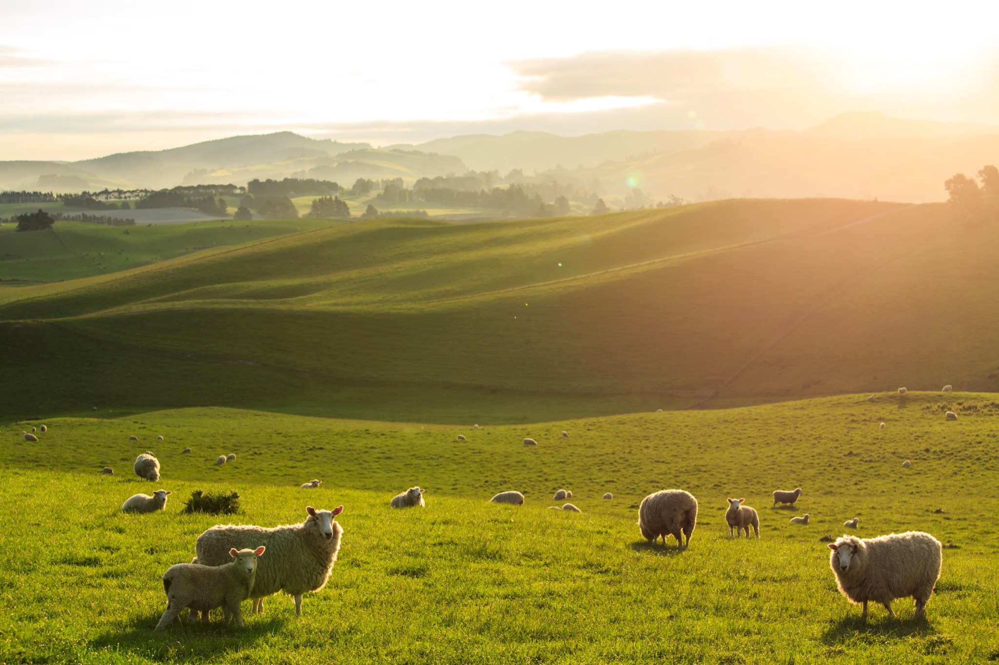 B9E4AB2D A35C 460A ACEB C927CEF8BFF8