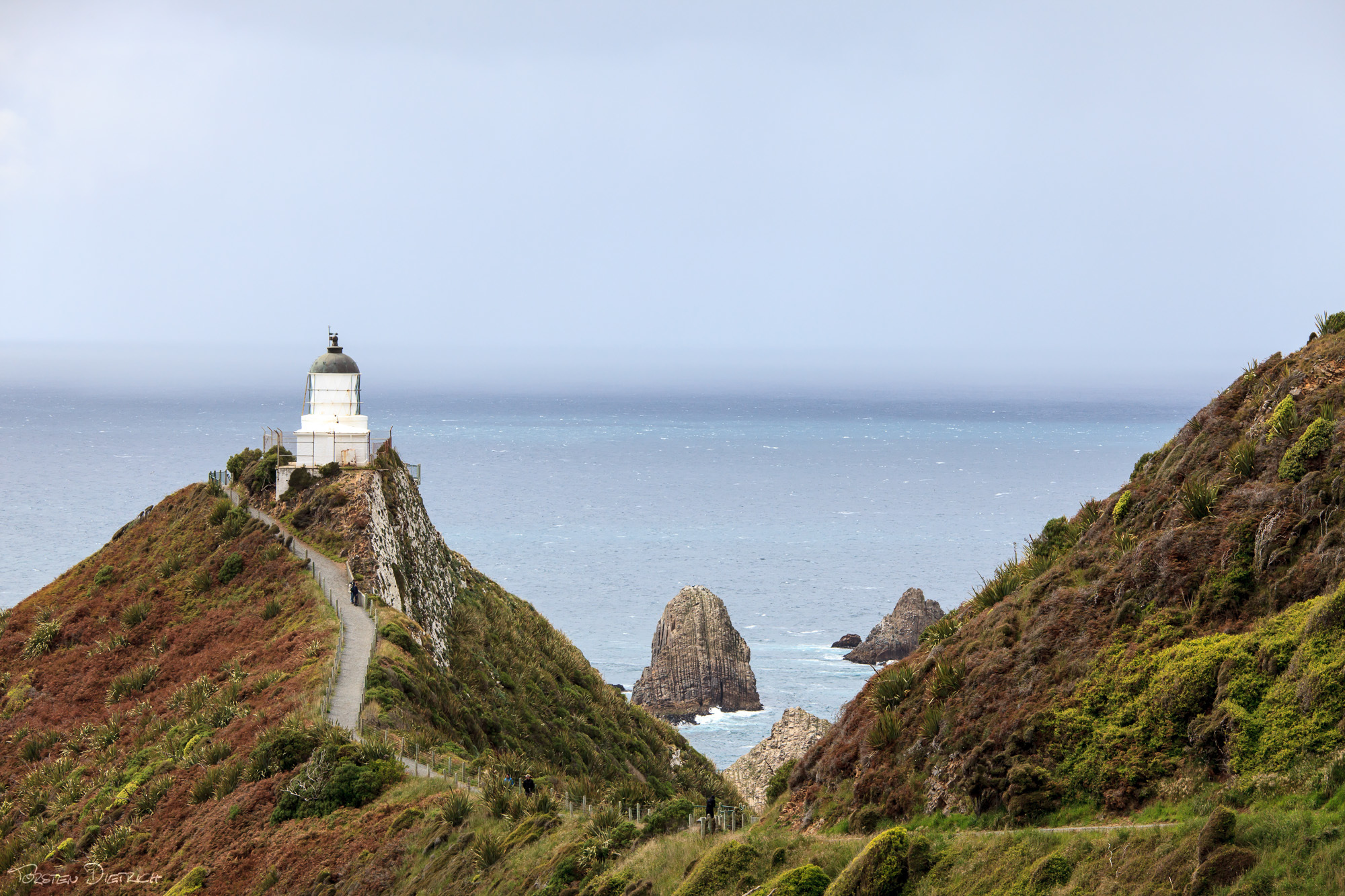 Nugget Point