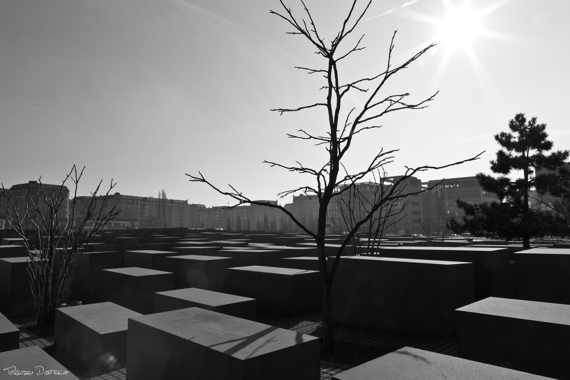 Memorial to the Murdered Jews of Europe